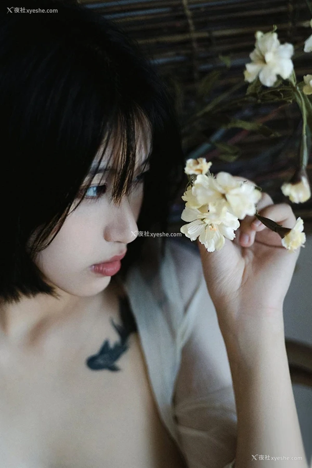 1P - 网络收集摄影师私拍无圣光美女2024图集8