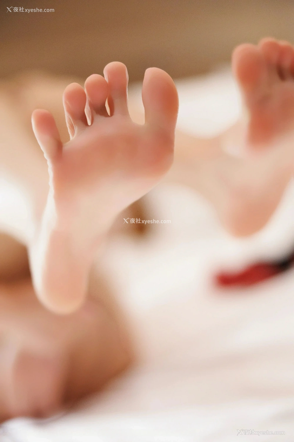 1P - [XiuRen秀人网] No.9599 杨晨晨Yome