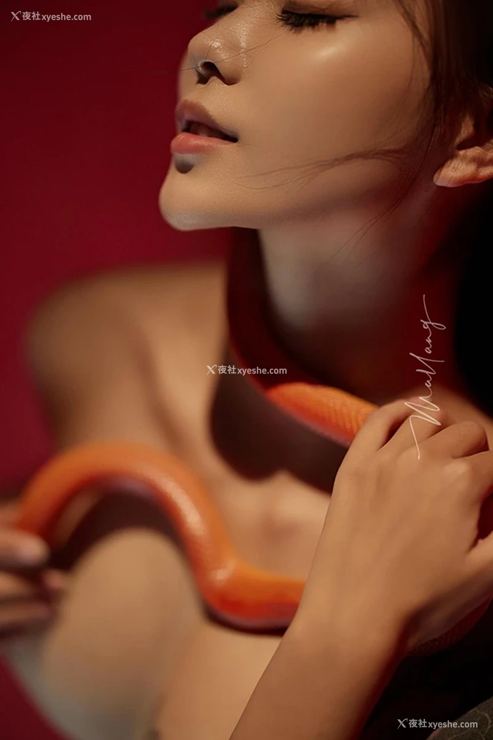 1P - 网络收集摄影师私拍无圣光美女2025图集