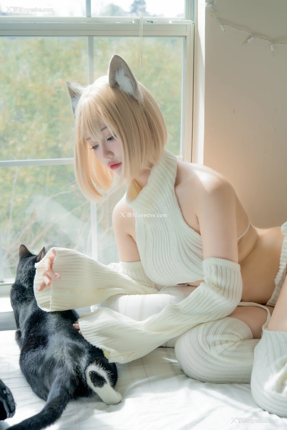 1P - 狐洛洛子 – 慵懒白猫