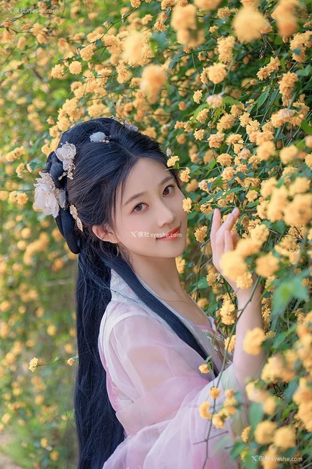 1P - 极品女神年年 海棠仙无圣光唯美人体图集