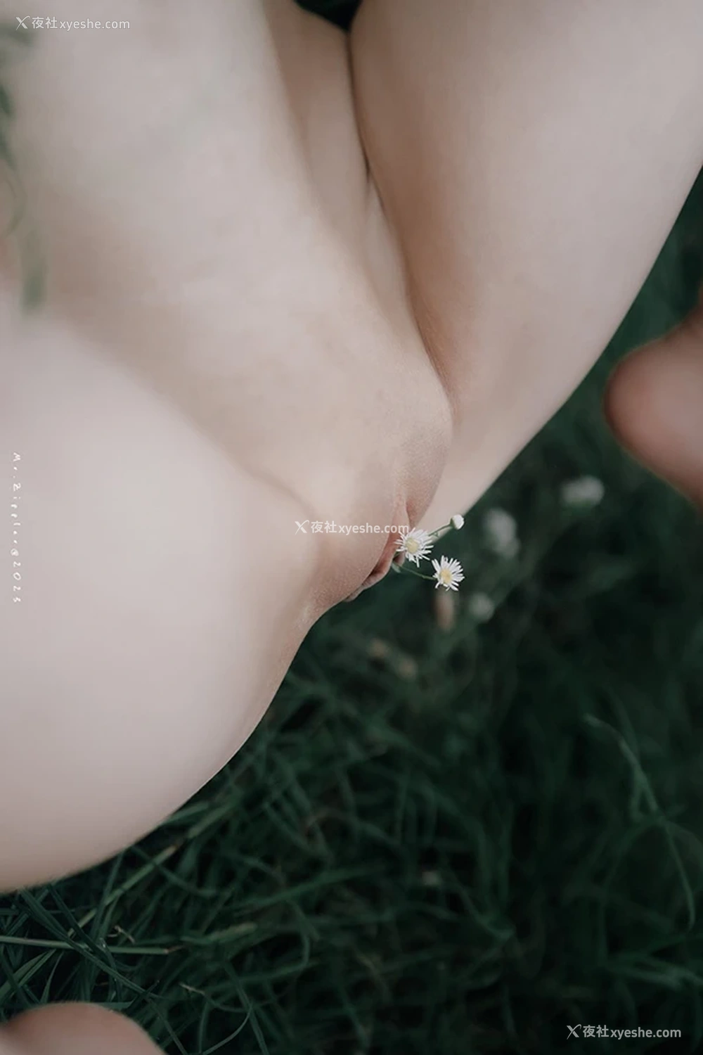 1P - 摄影师@Mr.死因镜头下的美女无圣光合集2