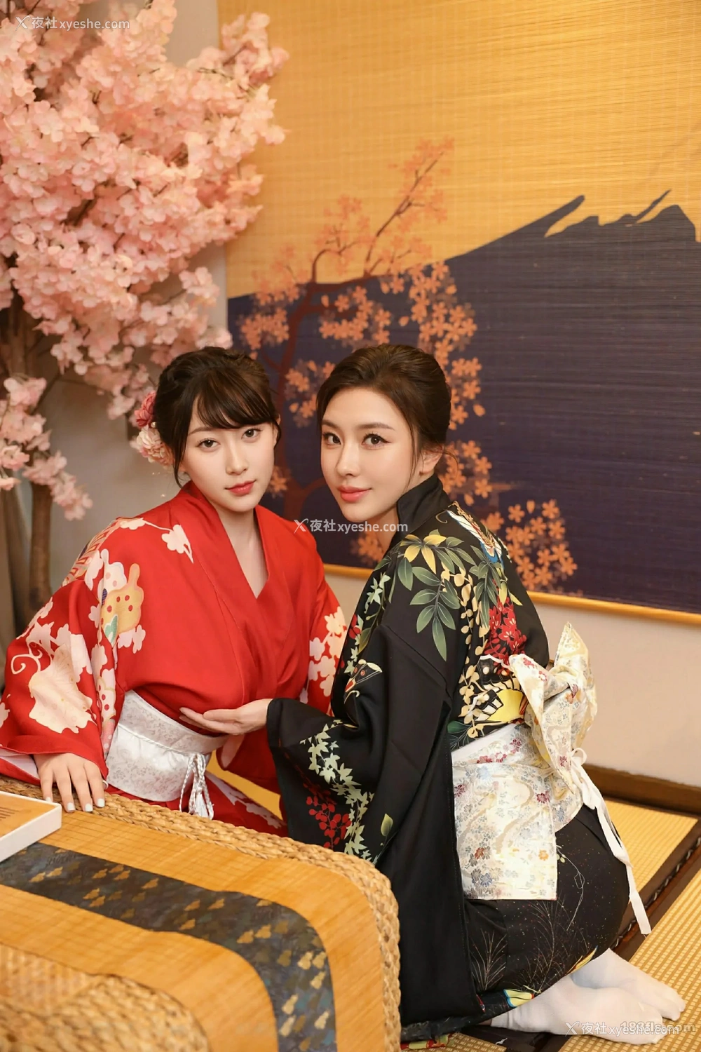 1P - [XIUREN秀人网] No.10627 苏一诺