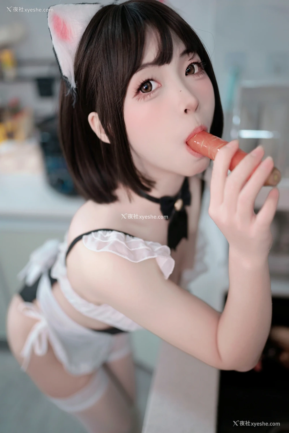 1P - Bangni邦尼 – 小猫日记