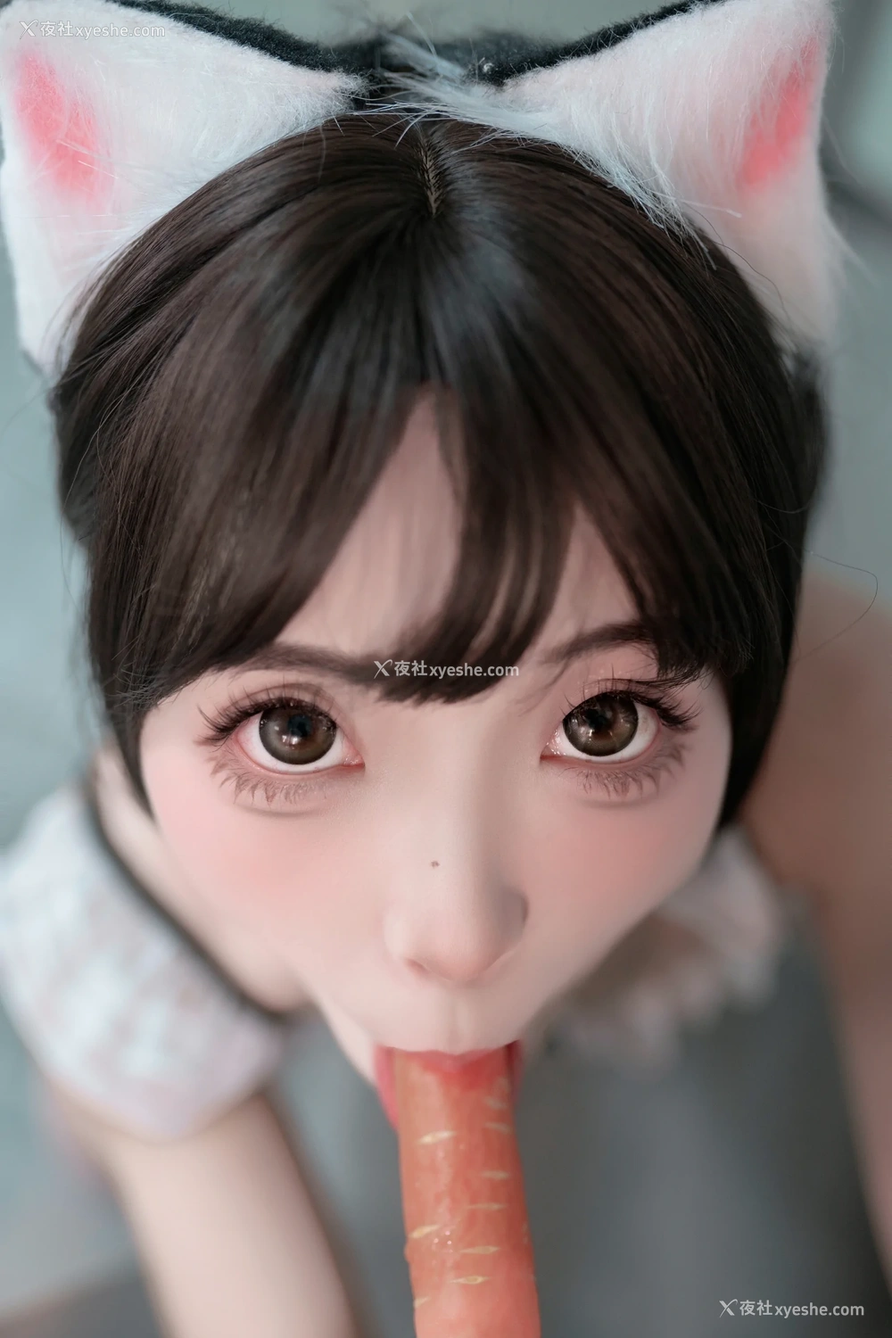 1P - Bangni邦尼 – 小猫日记