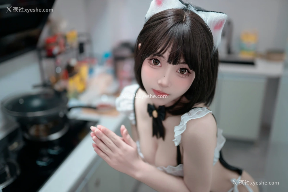 1P - Bangni邦尼 – 小猫日记