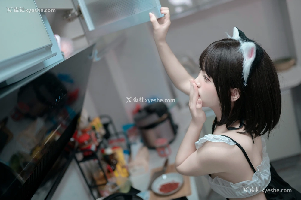 1P - Bangni邦尼 – 小猫日记