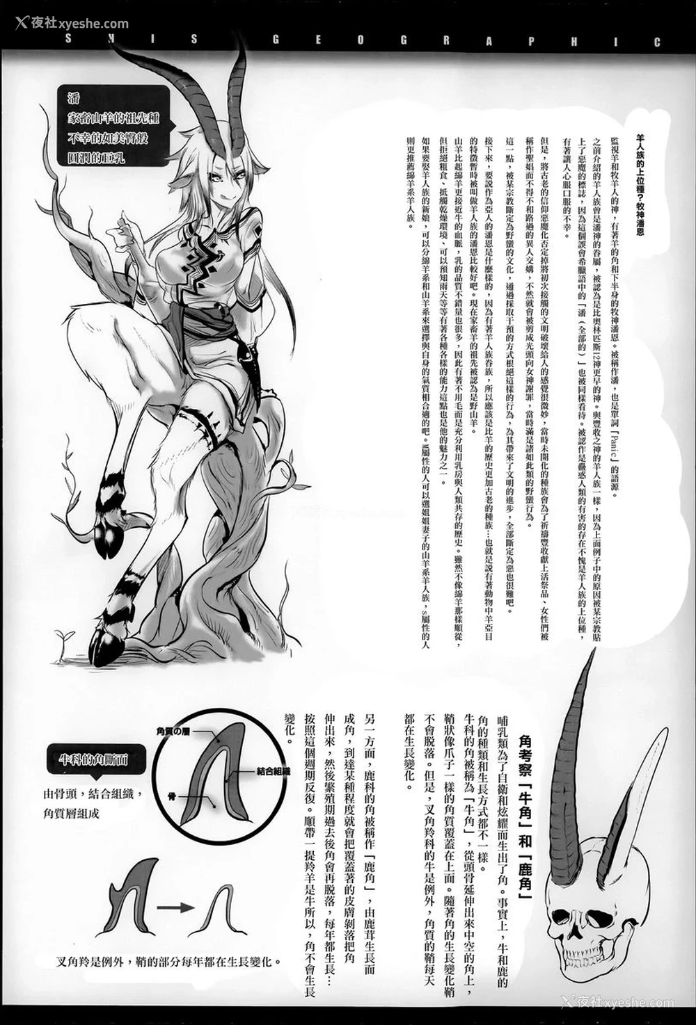 10P - 这样的躯体可以吗