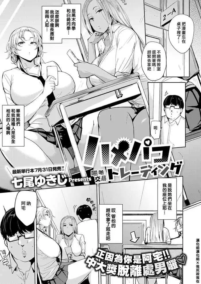 ハメパコトレーディング