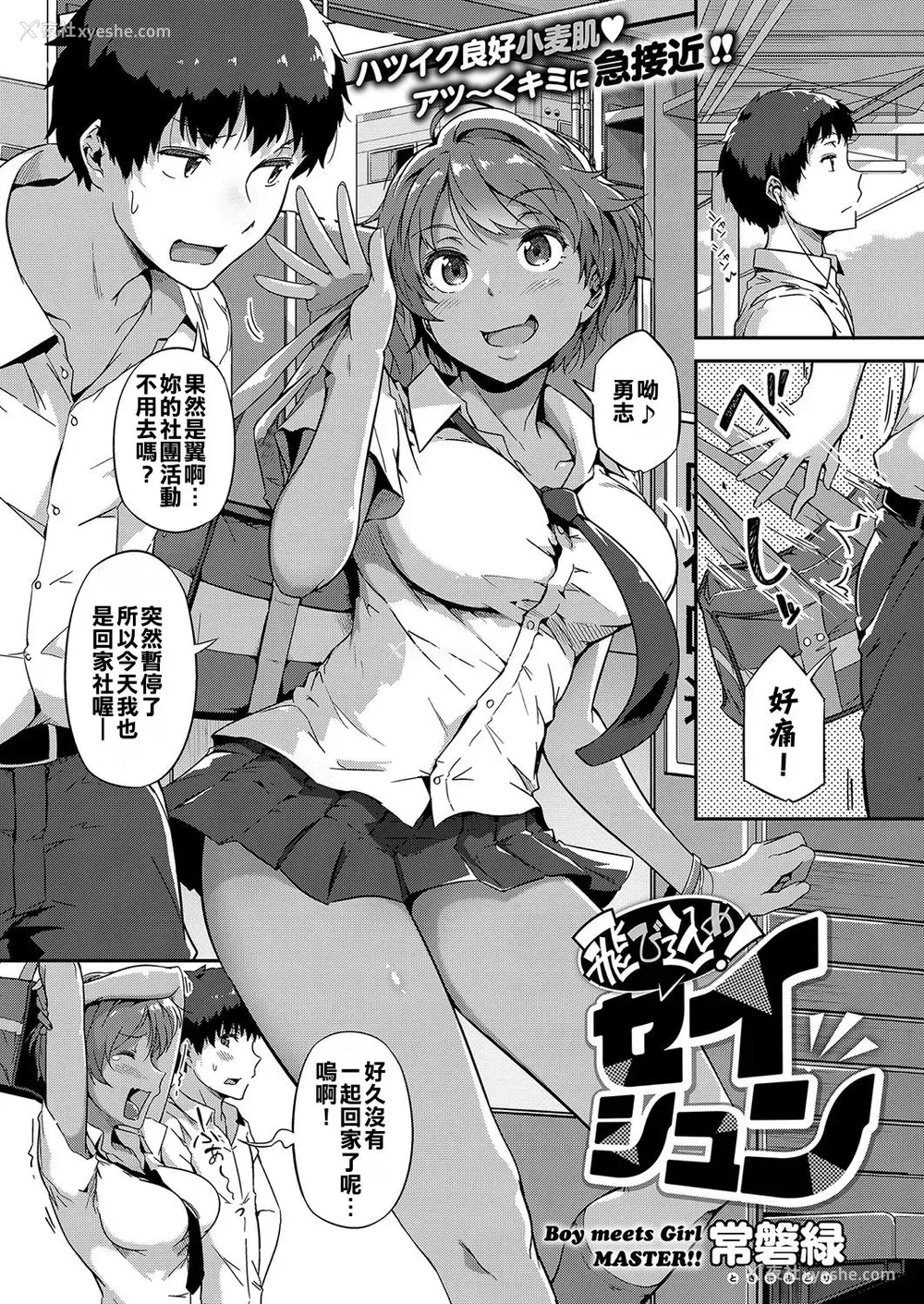 1P - [常磐绿] 飞び込め！セイシュン (コミック エグゼ 15) [中国翻訳] [DL版]