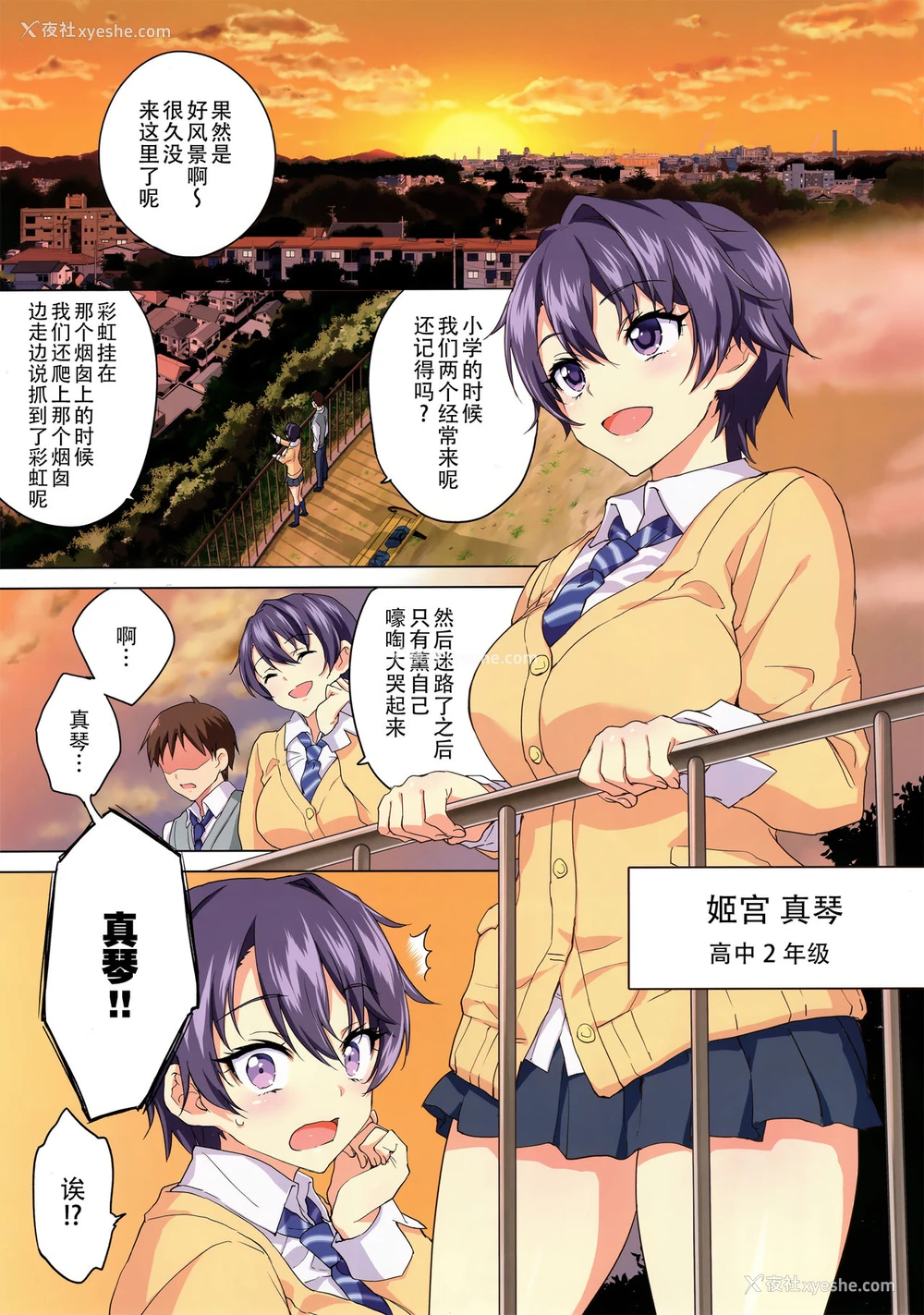 2P - (コミティア129) [梦茶会 (むちゃ)] まこちゃん开発日记 [中国翻訳]
