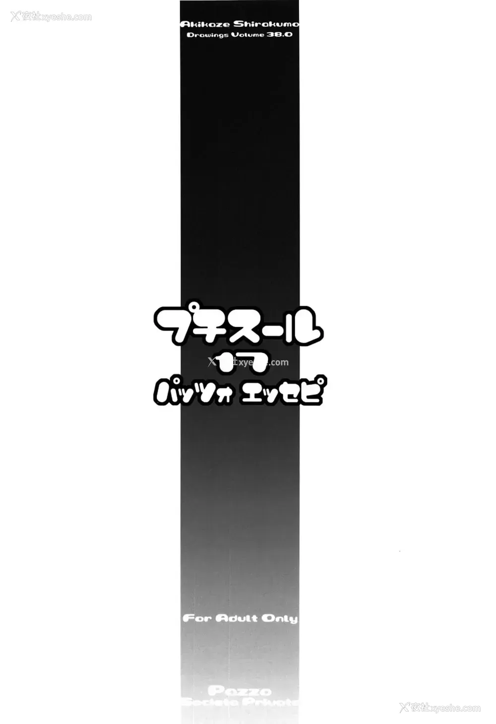 19P - (C95) [Pazzo S.P. (秋风白云)] プチスール17 (ぼくたちは勉强ができない) [中国翻訳]