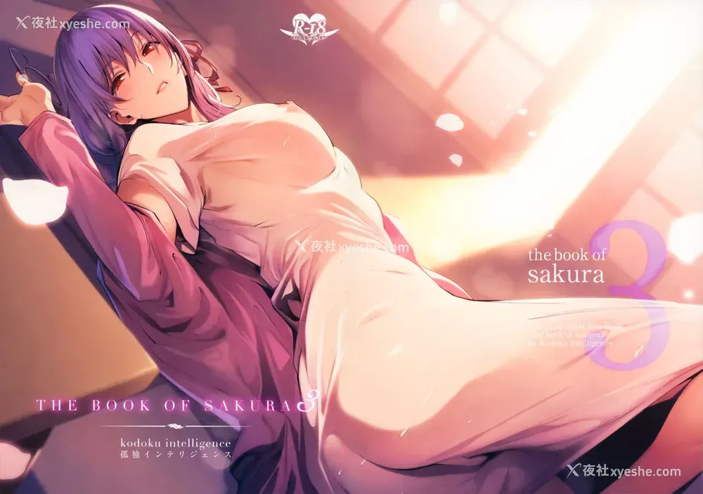 2P - THE BOOK OF SAKURA 3 (Fate/stay night)