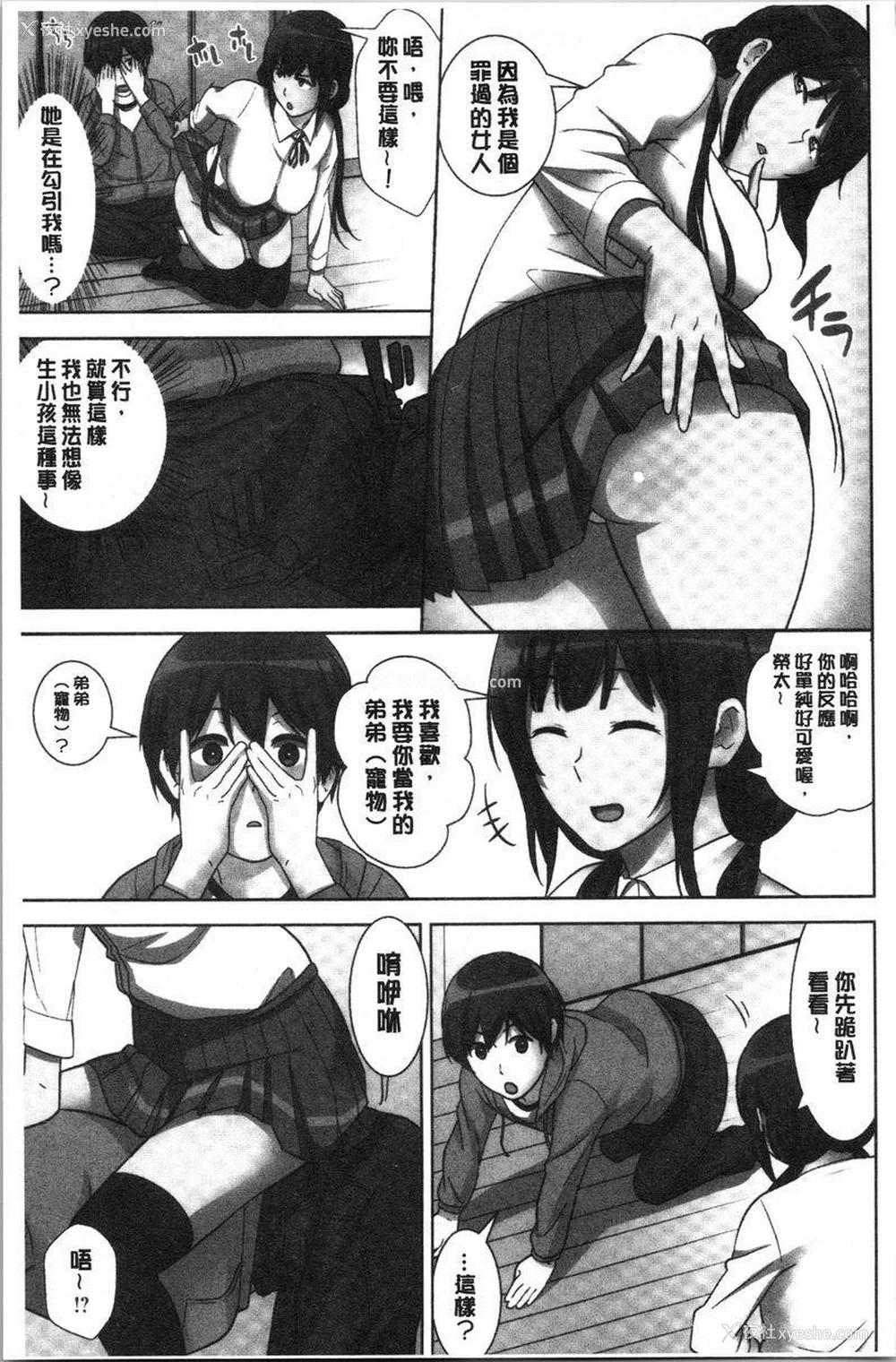 14P - 配种后宫姊妹们