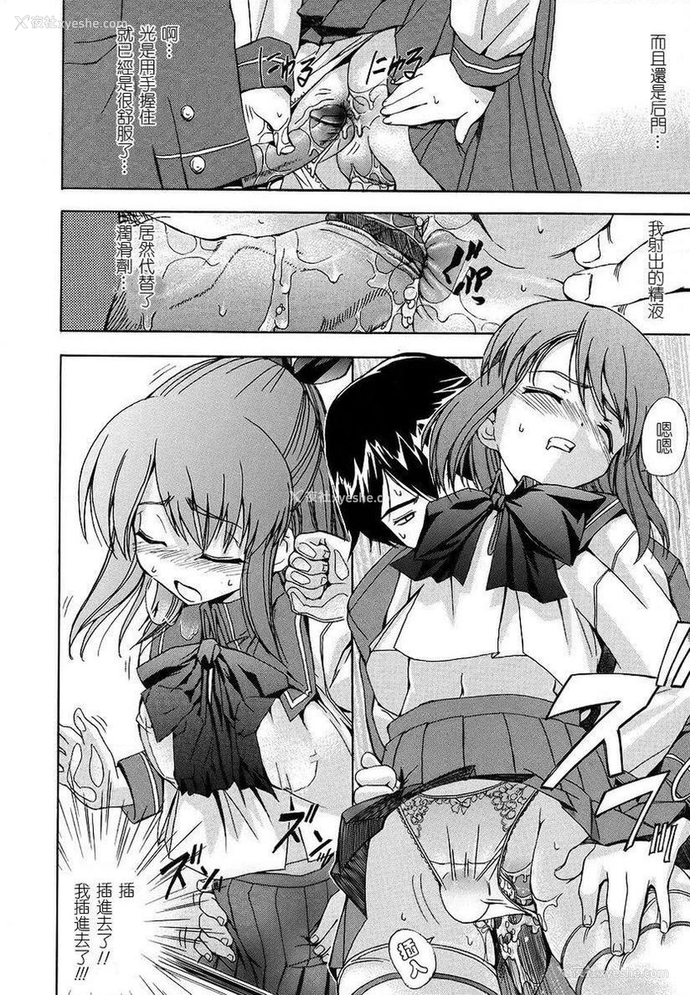 12P - 初犬