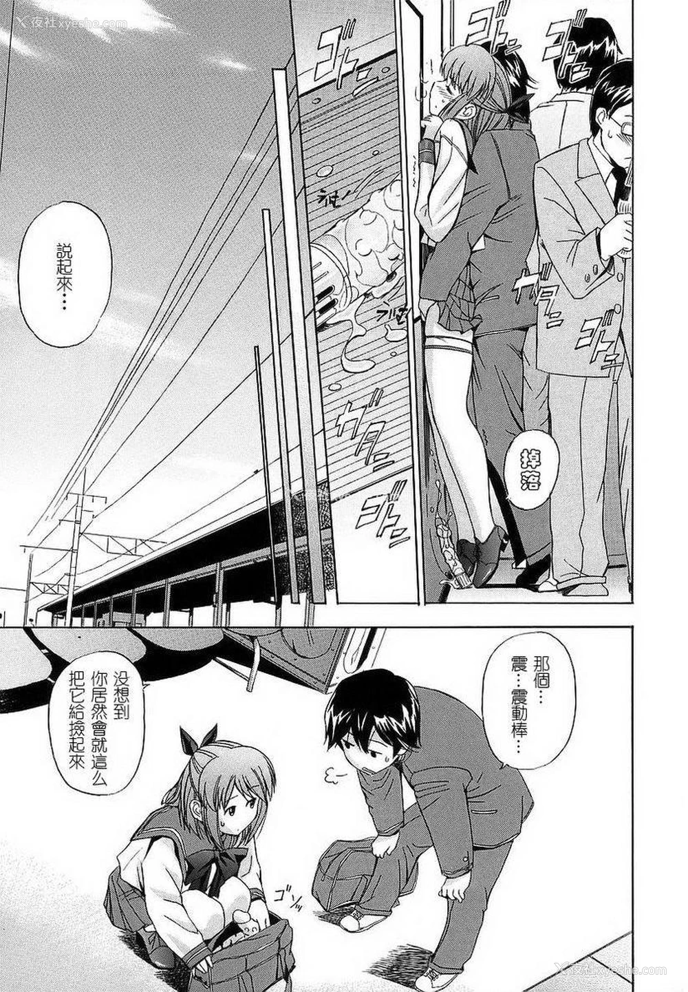 17P - 初犬