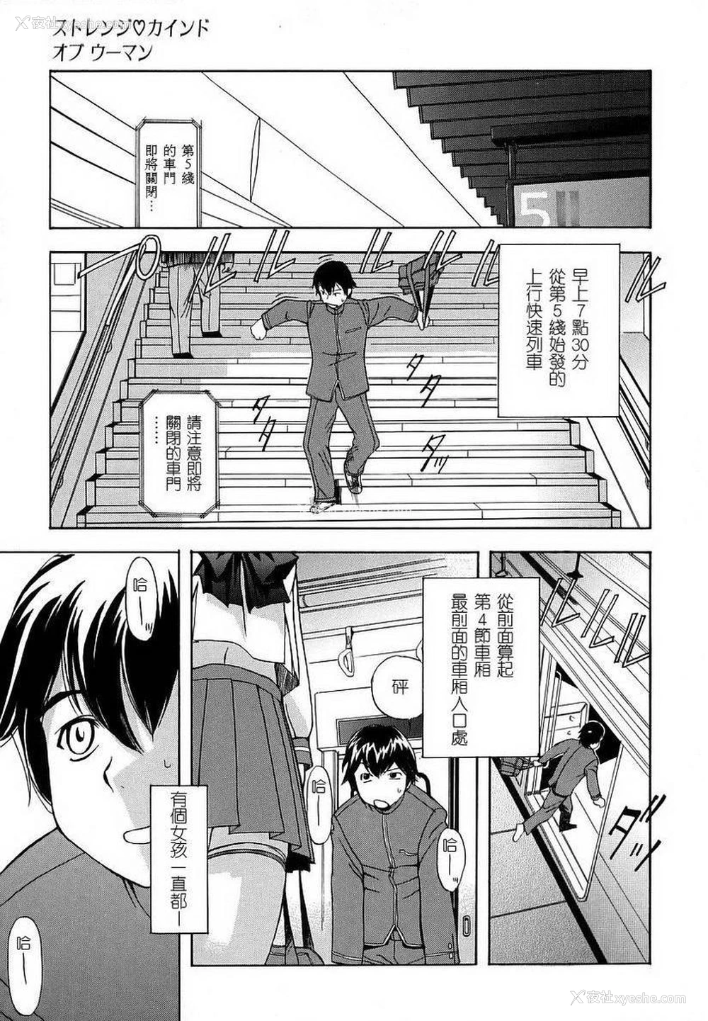 1P - 初犬