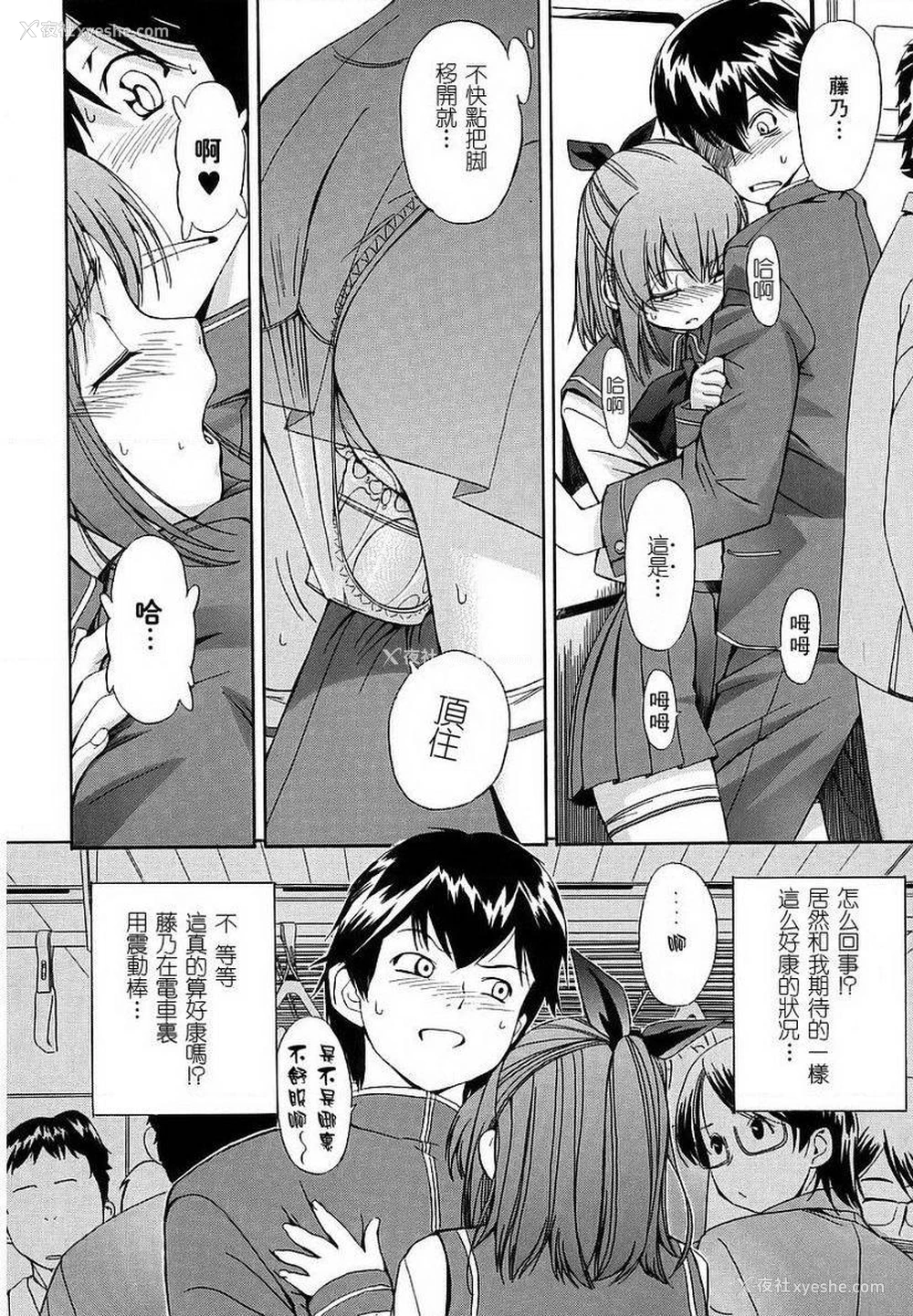 6P - 初犬
