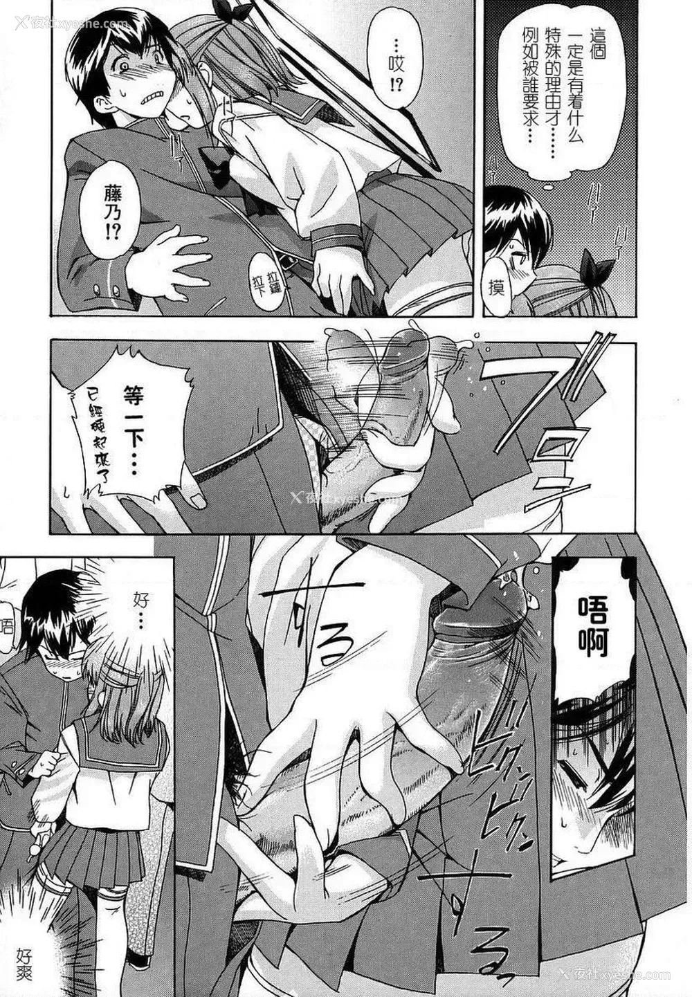 7P - 初犬