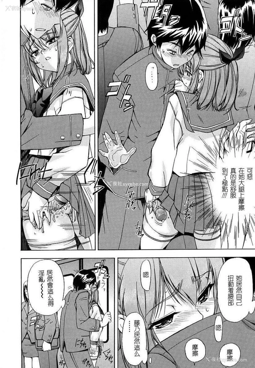 8P - 初犬