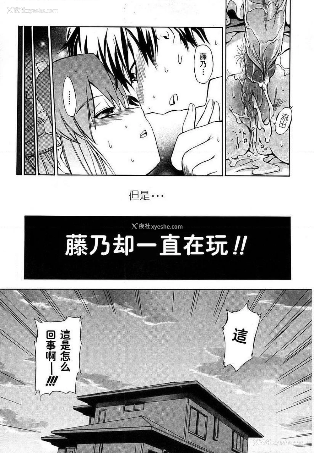 17P - 初犬