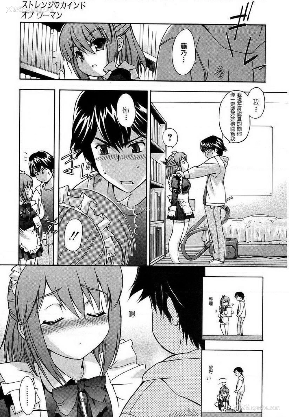 5P - 初犬