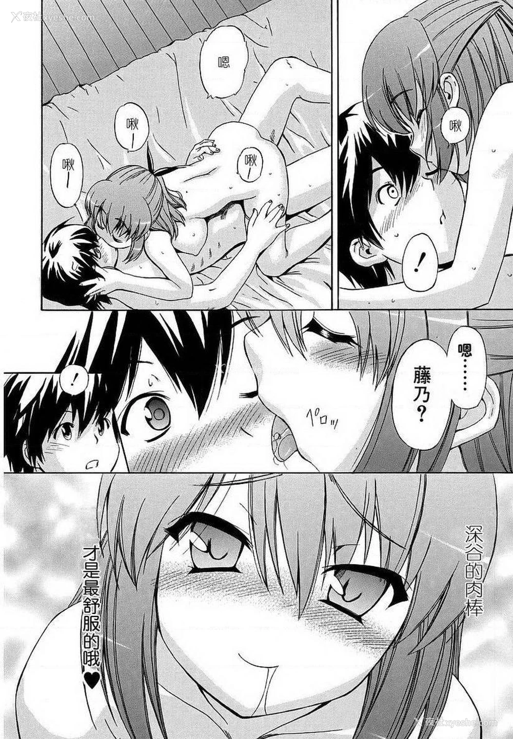 14P - 初犬