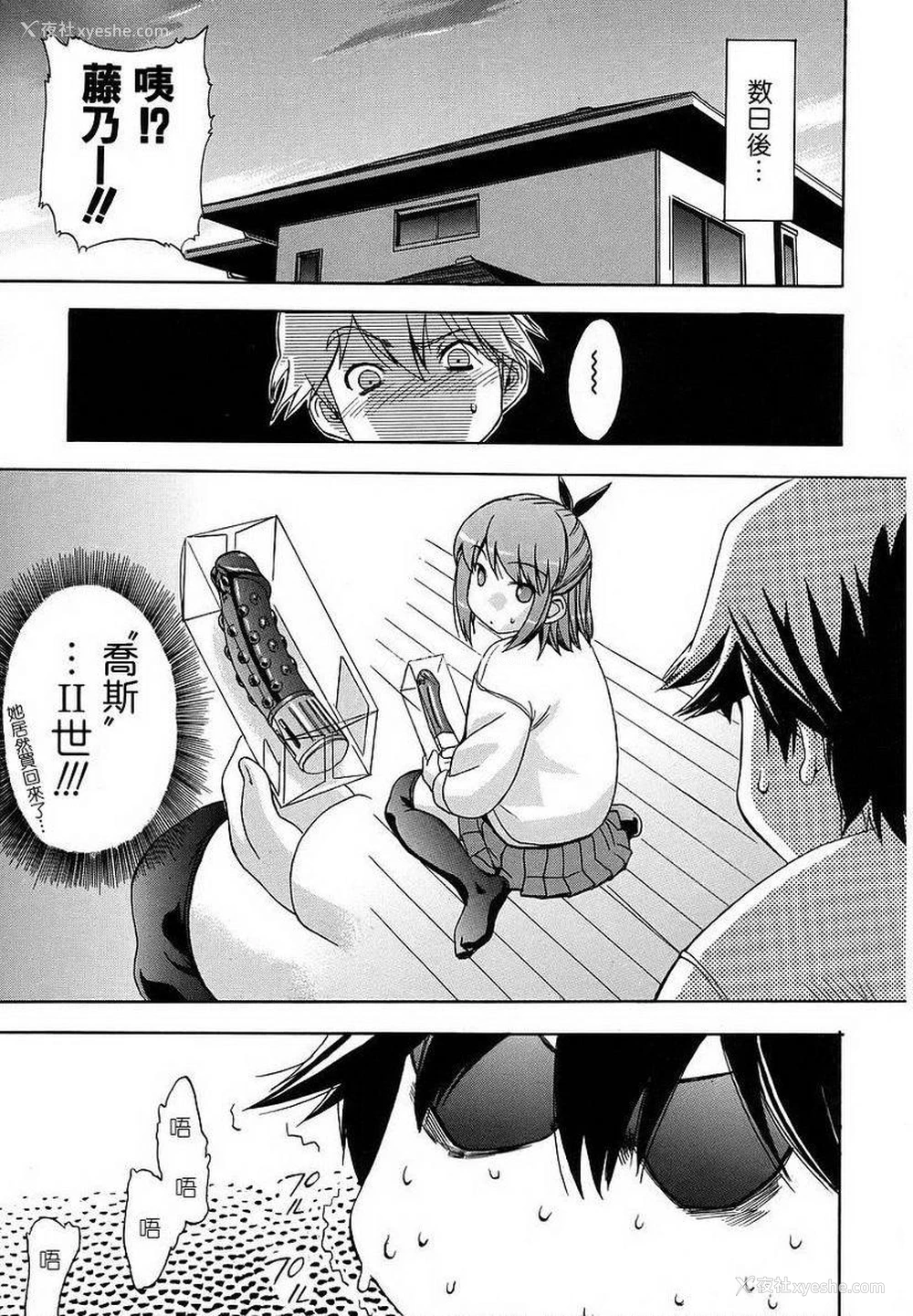 19P - 初犬