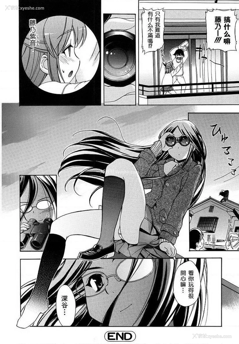 20P - 初犬