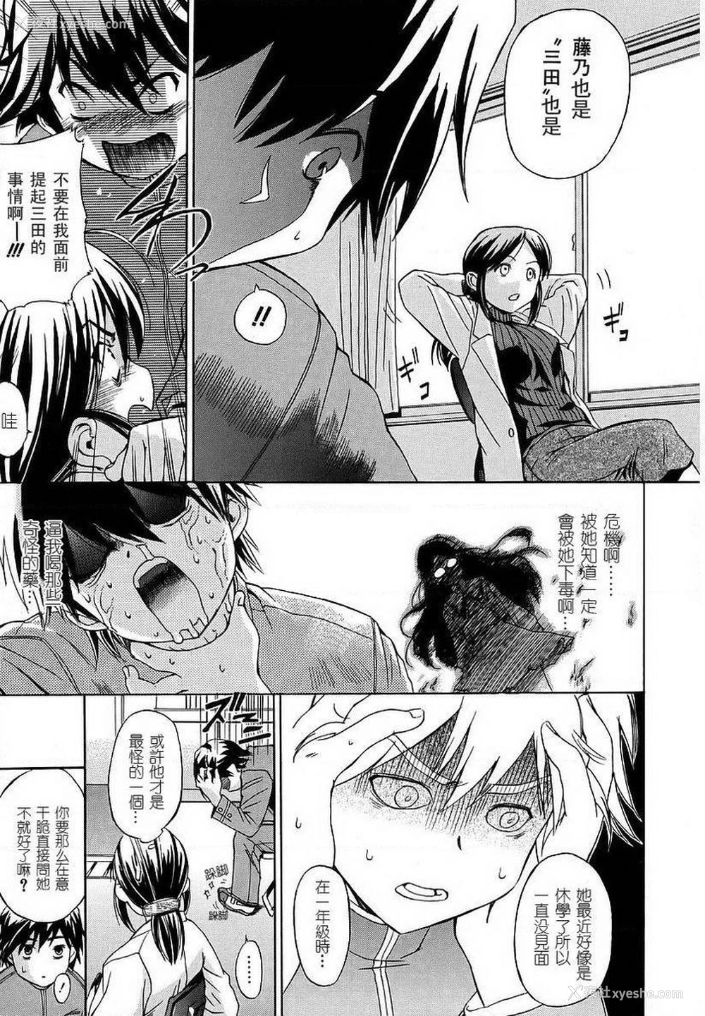 7P - 初犬