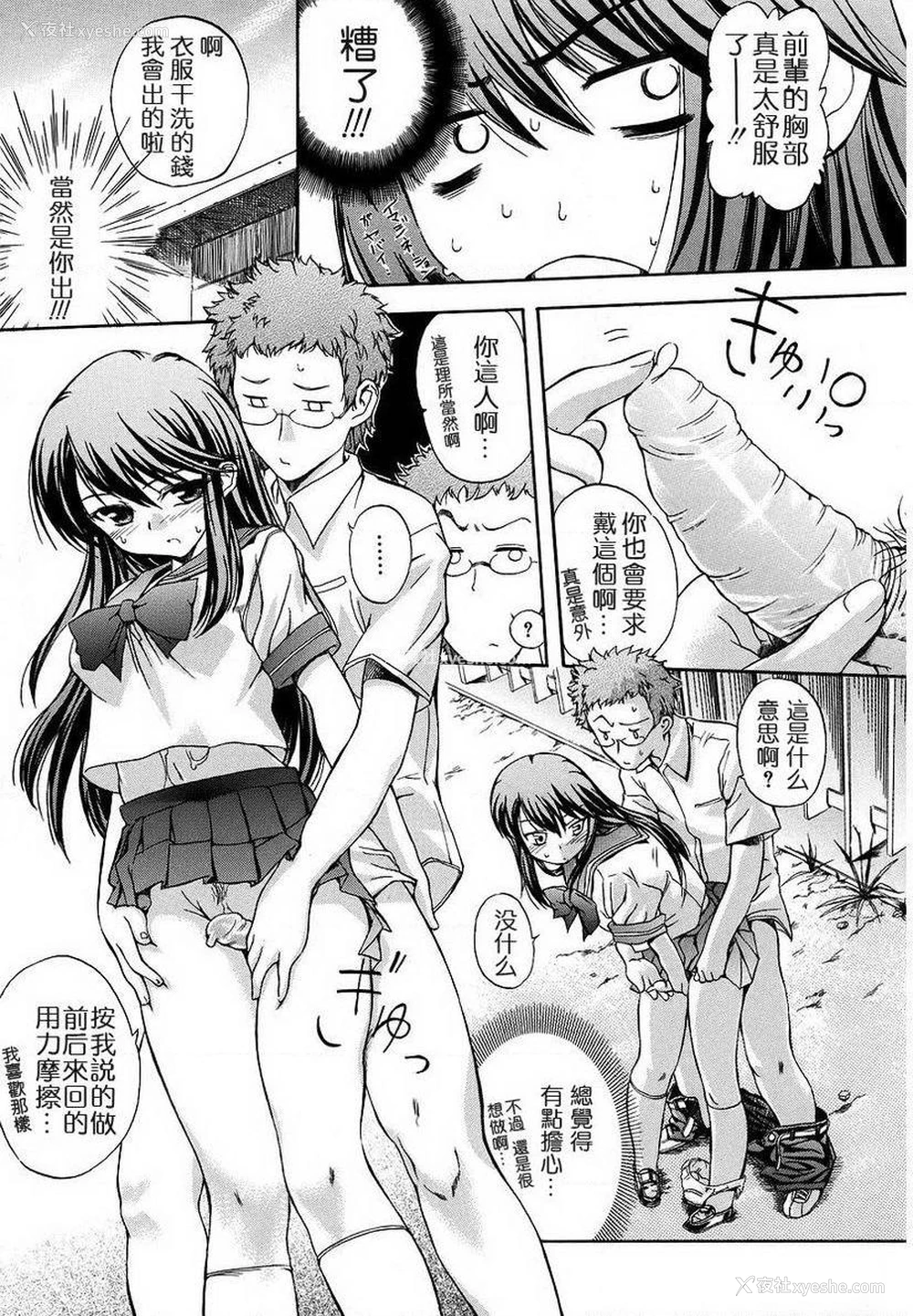 11P - 初犬