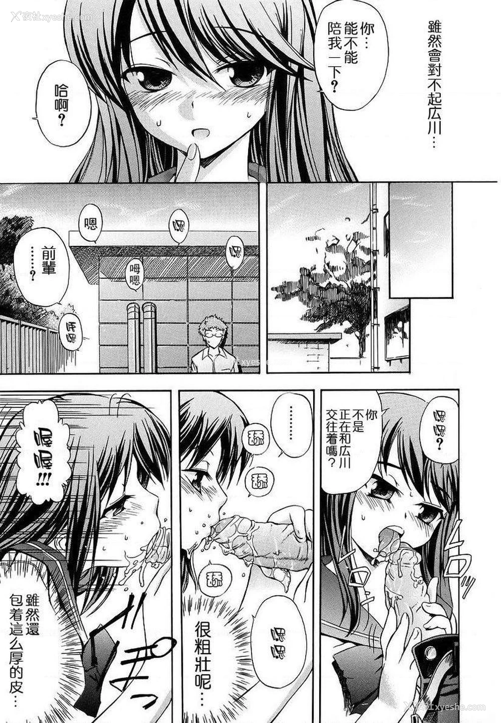7P - 初犬