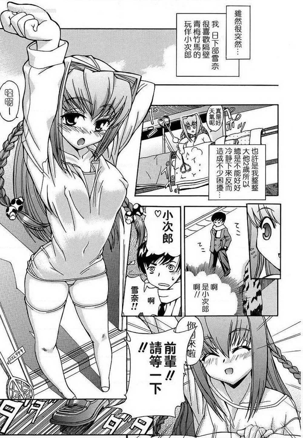 1P - 初犬