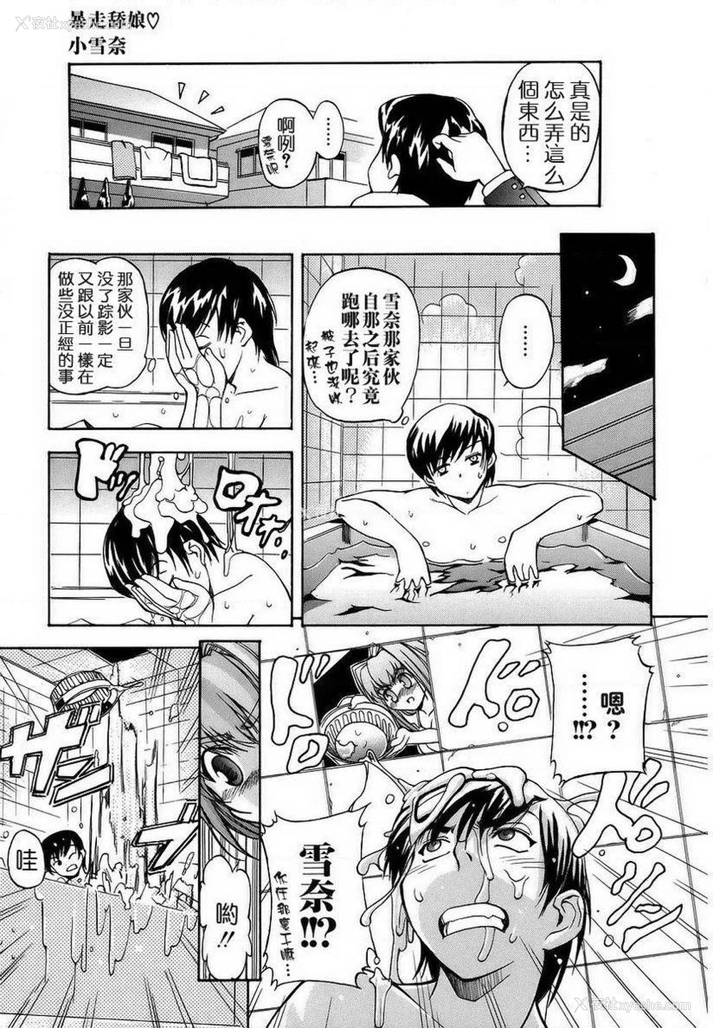 3P - 初犬