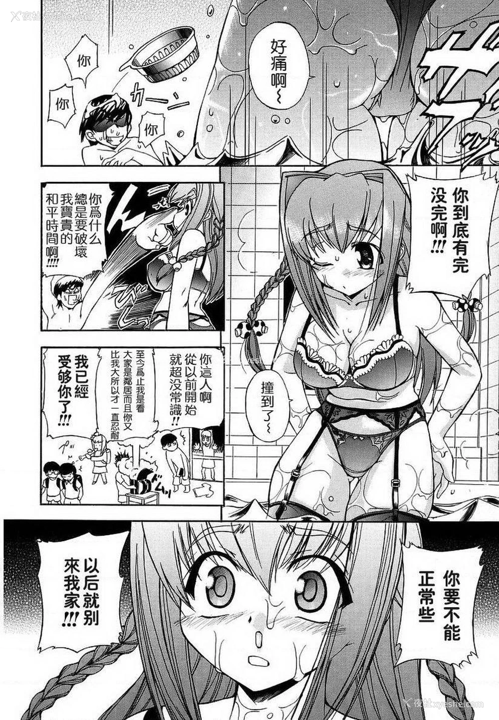 4P - 初犬