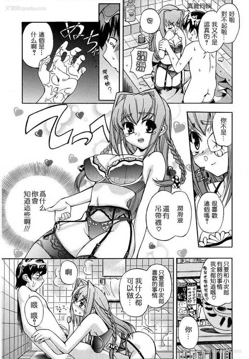 6P - 初犬