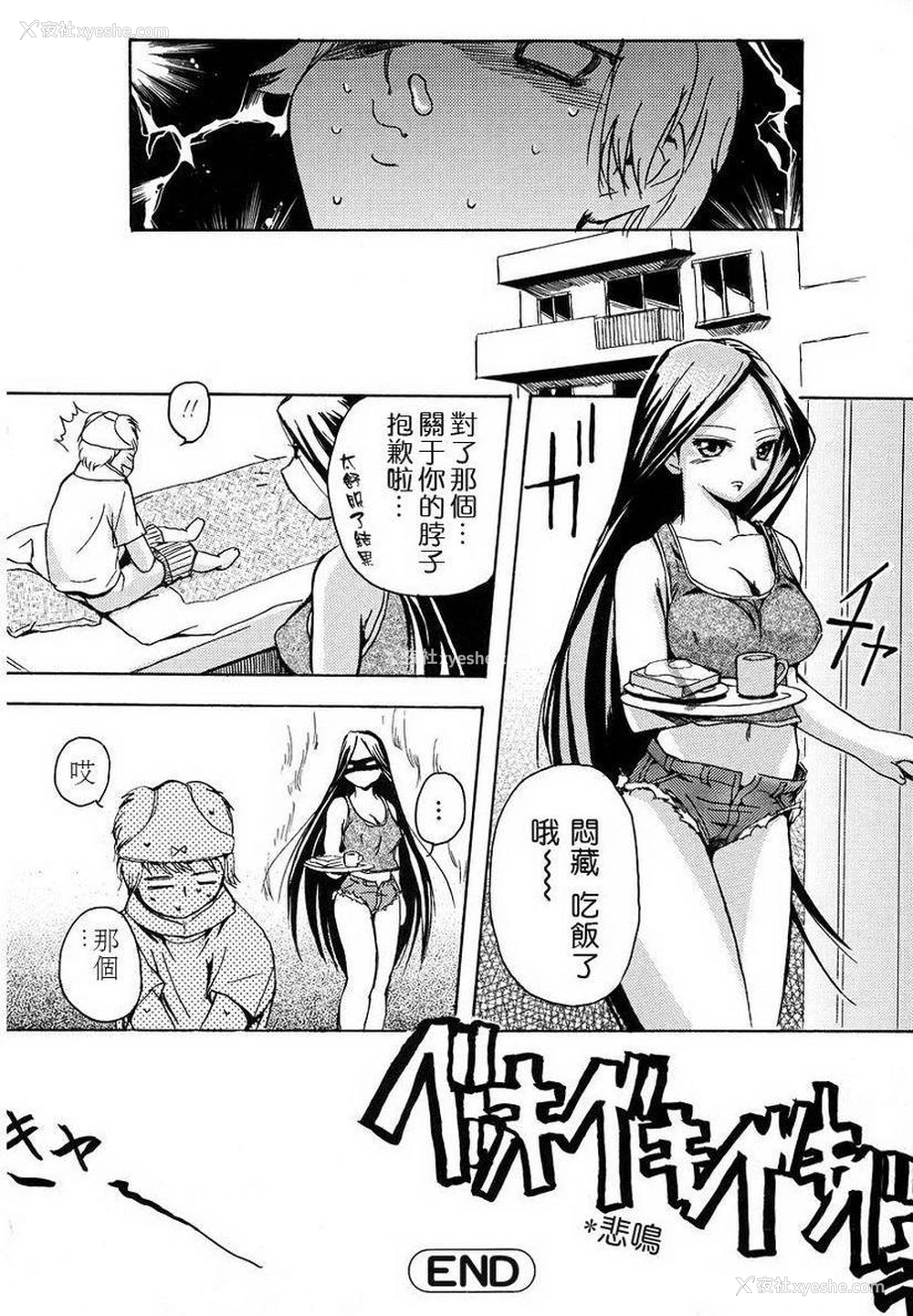 16P - 初犬