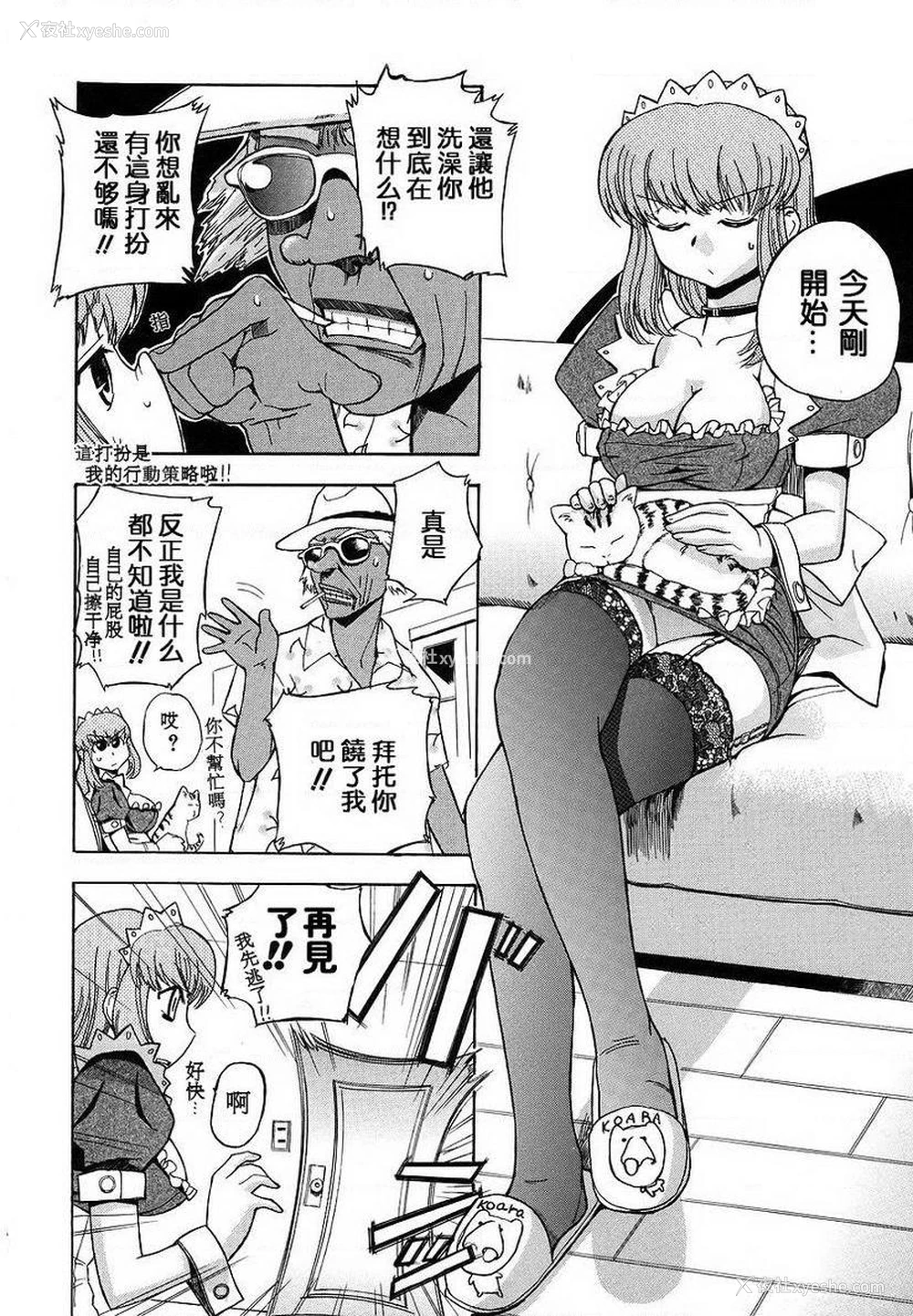 4P - 初犬