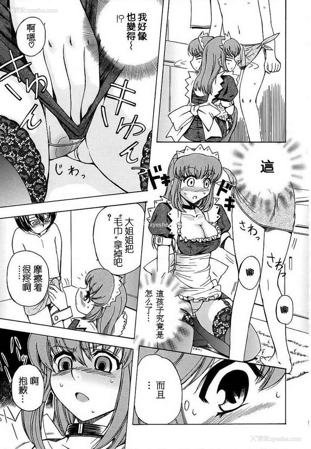 7P - 初犬