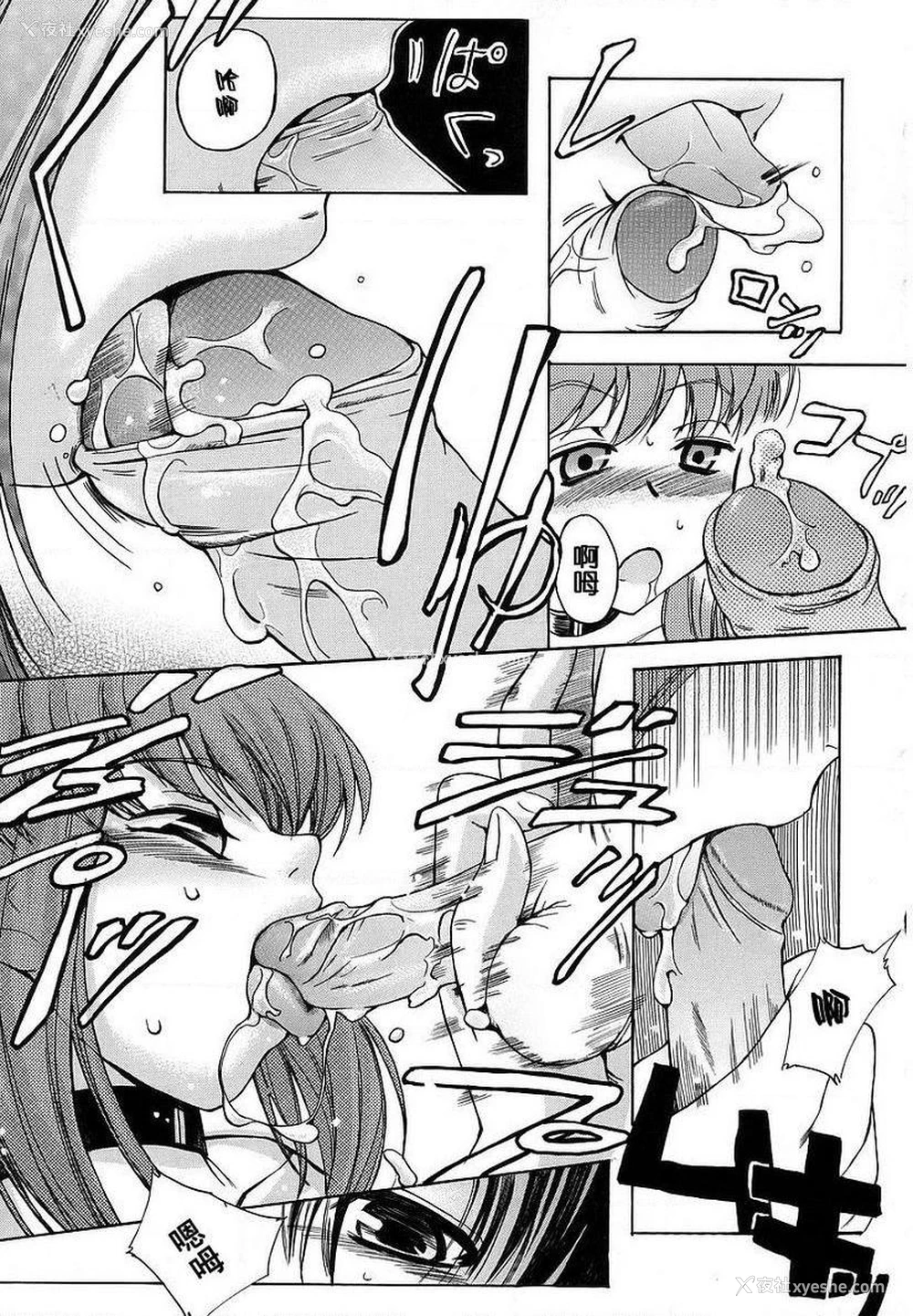 9P - 初犬