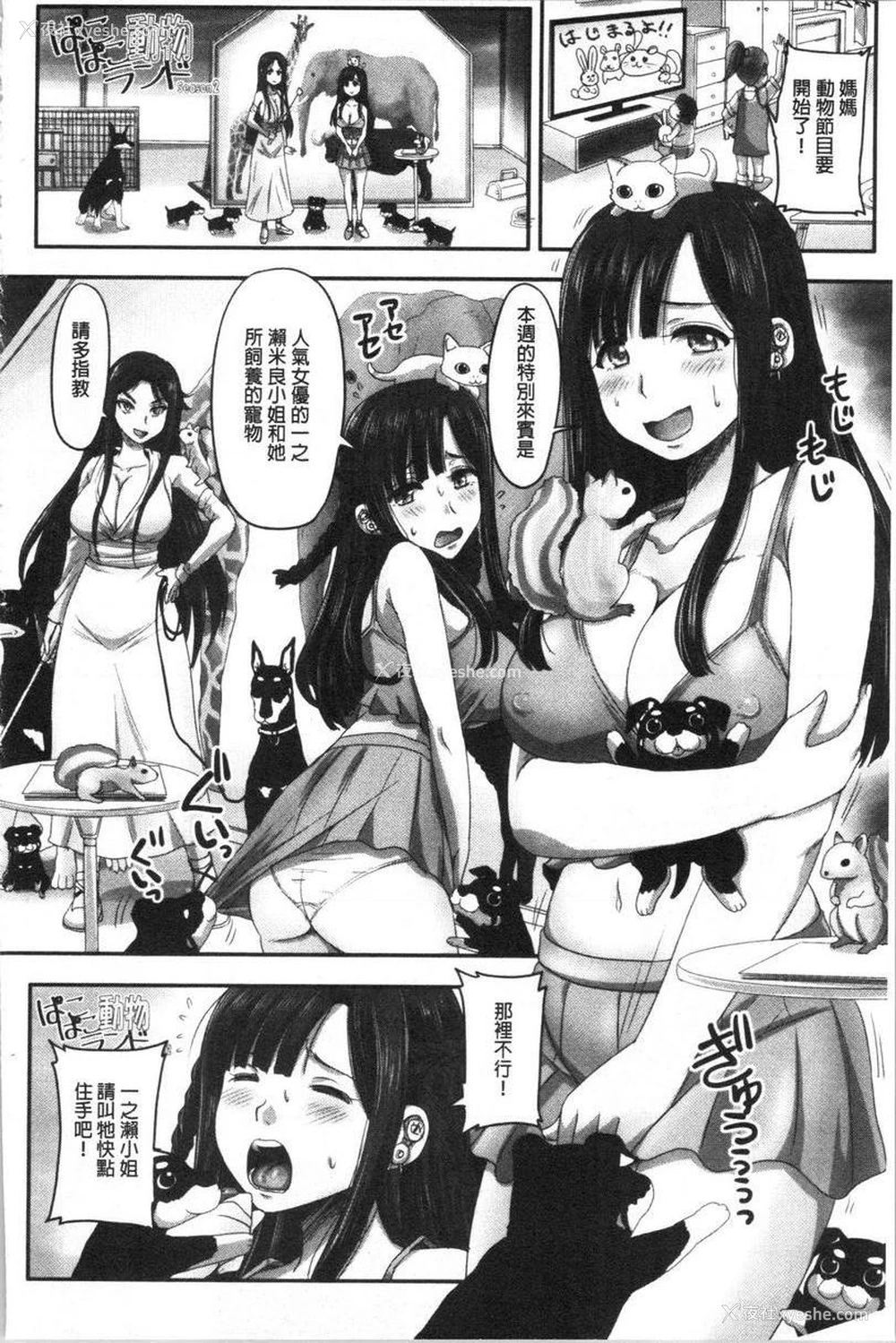 18P - 实况！无套插入催眠电视台