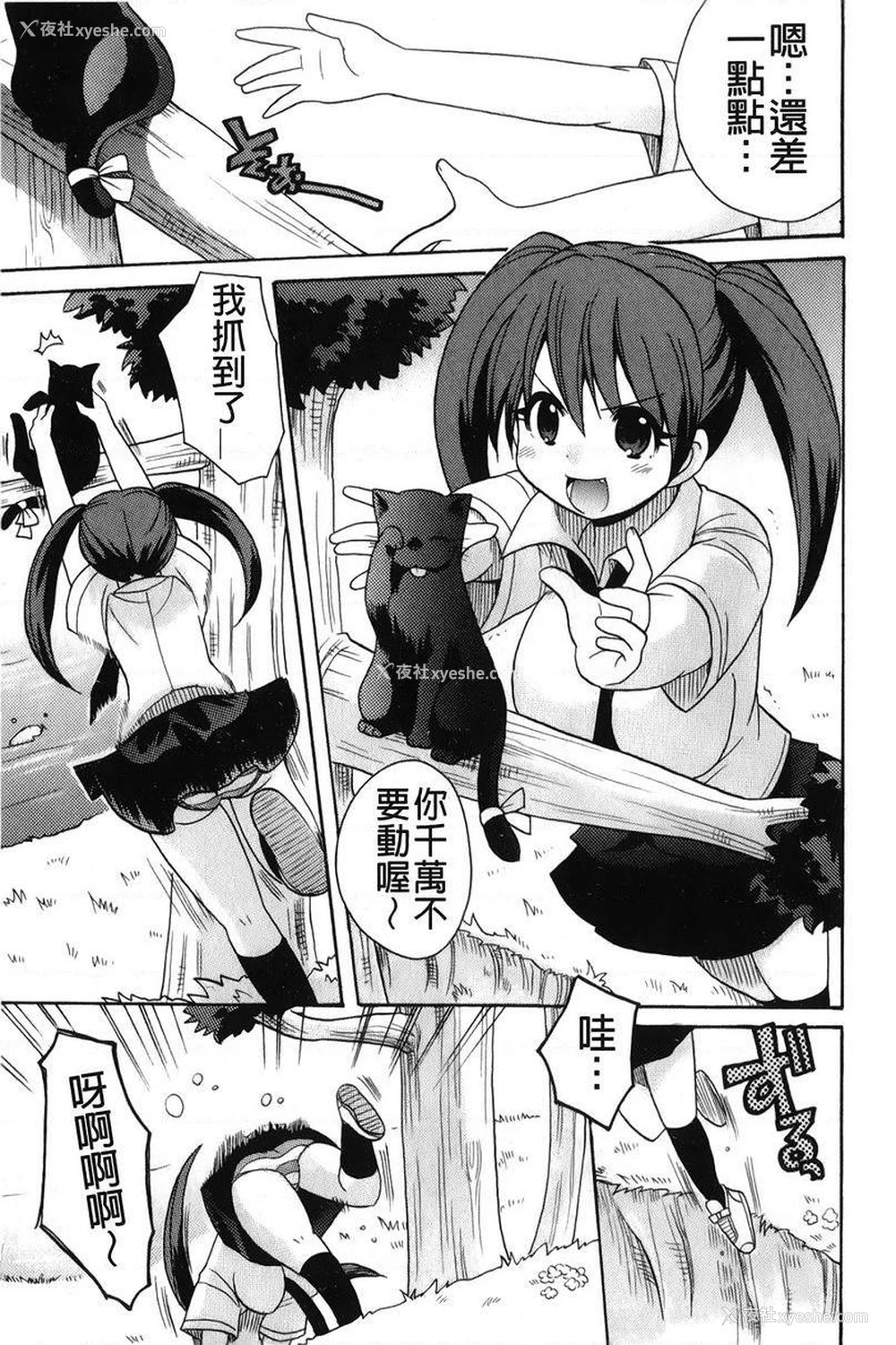 6P - 帮您解决！留留子