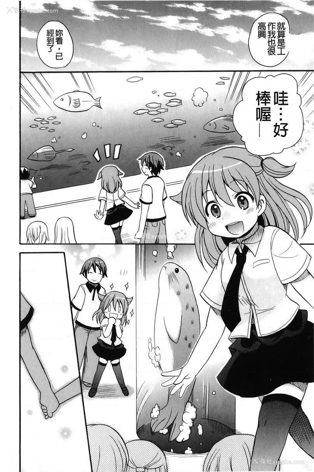 4P - 帮您解决！留留子