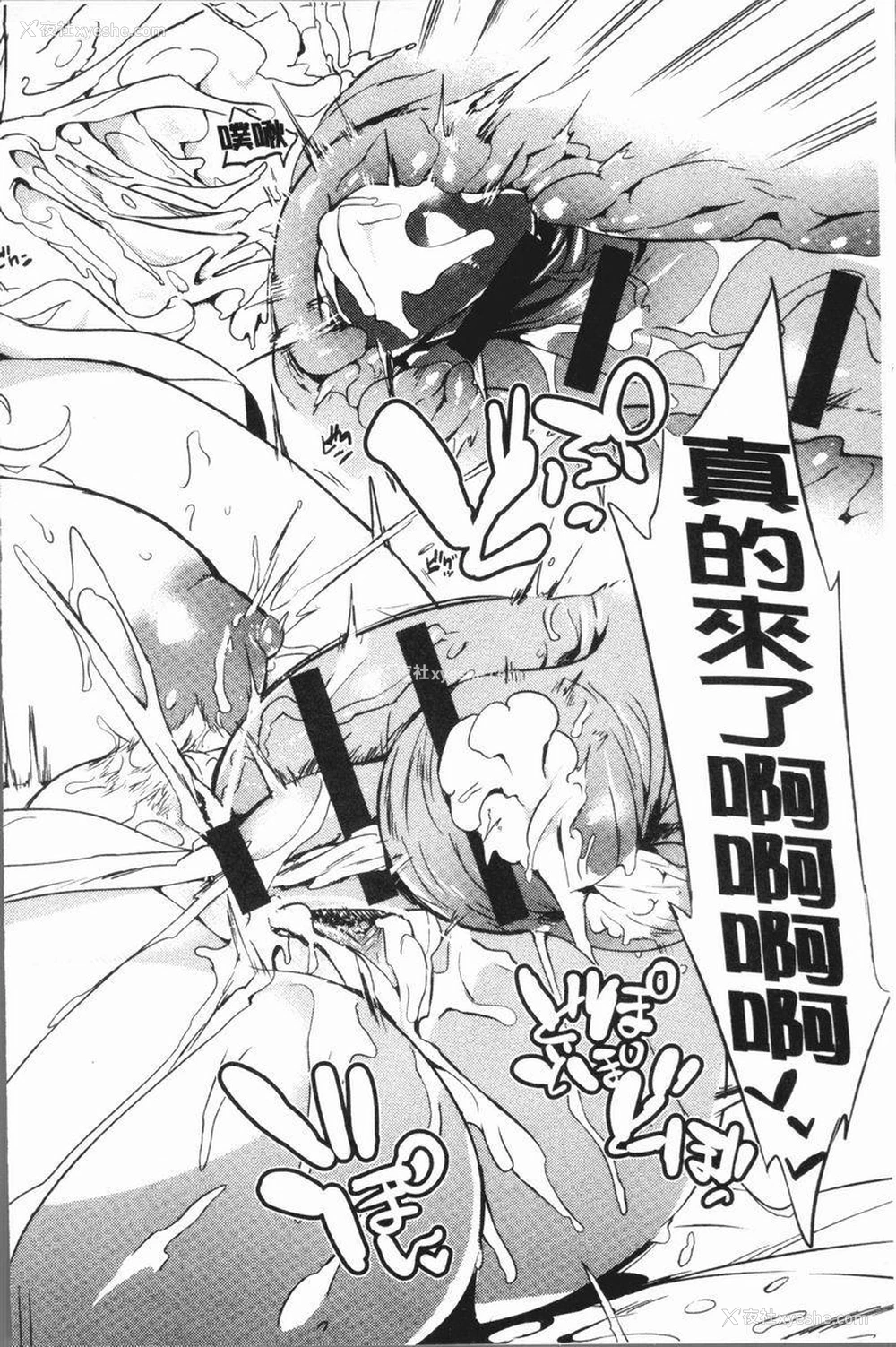 23P - 堕落性主义