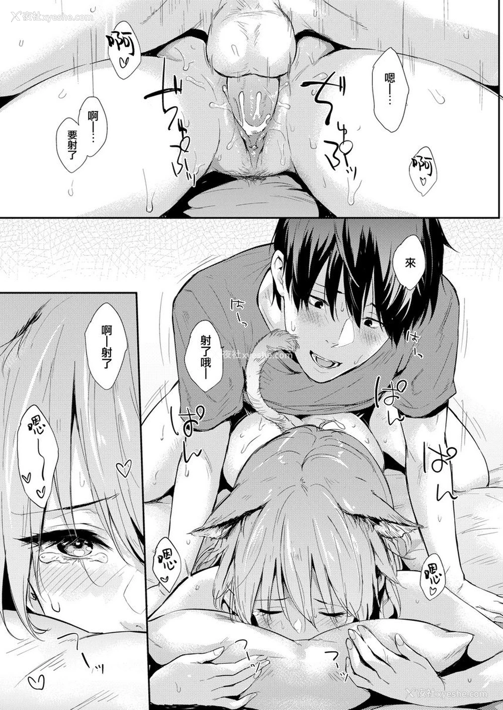 5P - 独占