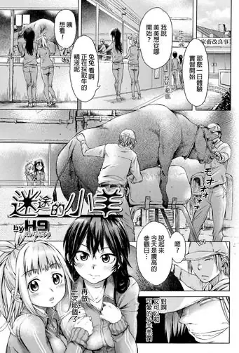 [H9] 迷える子羊 (獣DIRECT) [中国翻訳]