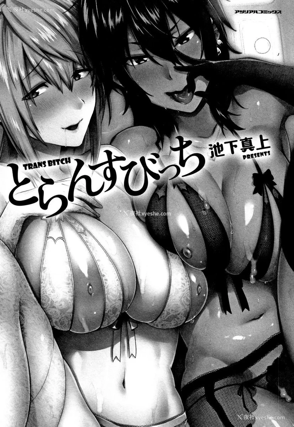 3P - TRANS BITCH