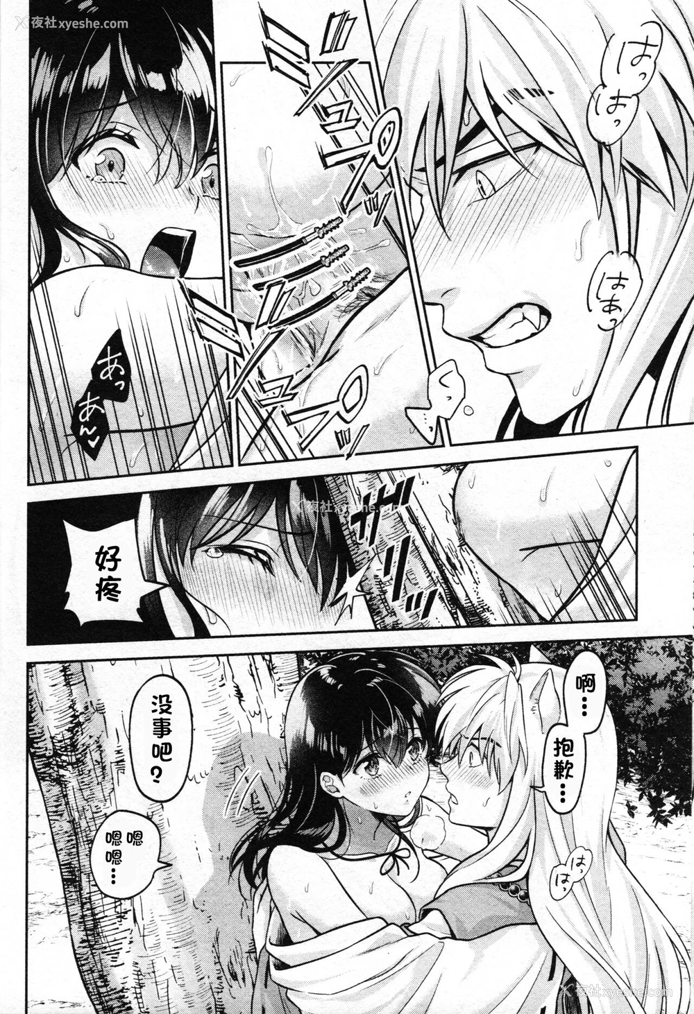 33P - 戦国枕草子犬かご 危絵篇 (犬夜叉)