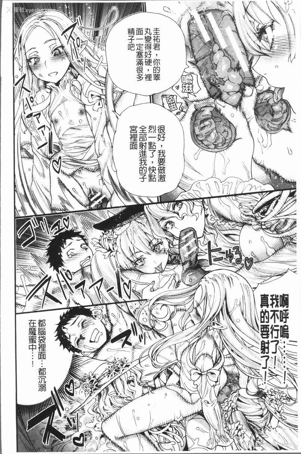 14P - 满开！后宫学校