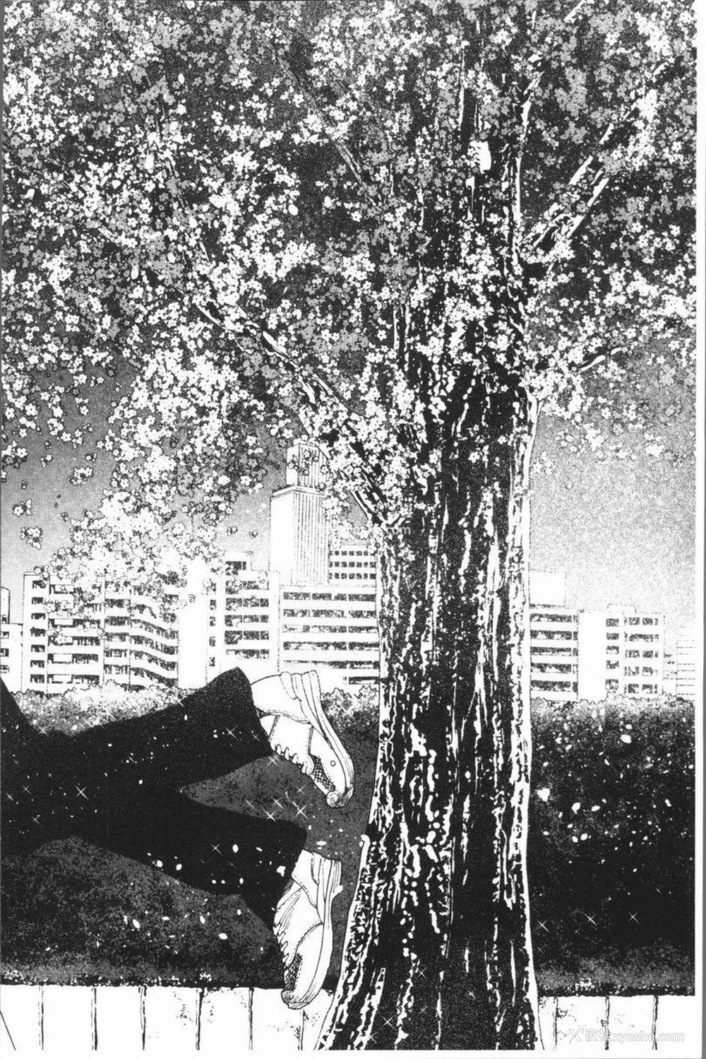 29P - 满开！后宫学校